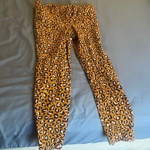 Full length pants great for the fall